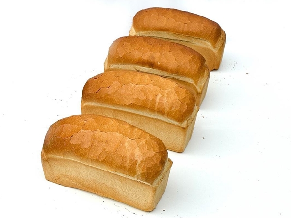 Aanbiedingen