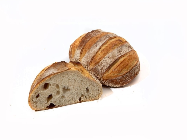 San francisco sourdoug brood