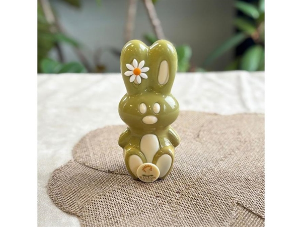 Geboorte bunny groen